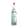 PISCO WAQAR