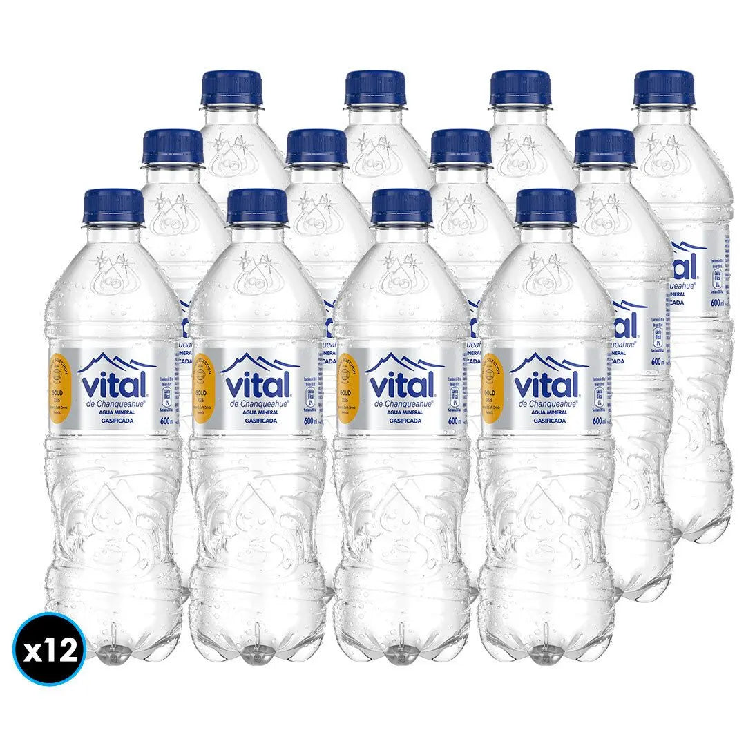 12x AGUA MINERAL VITAL CON GAS 600cc