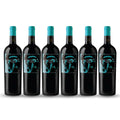 PACK 6 BOTELLAS VALDIVIESO CABALLO LOCO GRAND CRU PIRQUE