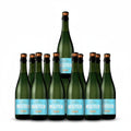 PACK 12 BOTELLAS MOUTIER SPARKLING EXTRA DULCE